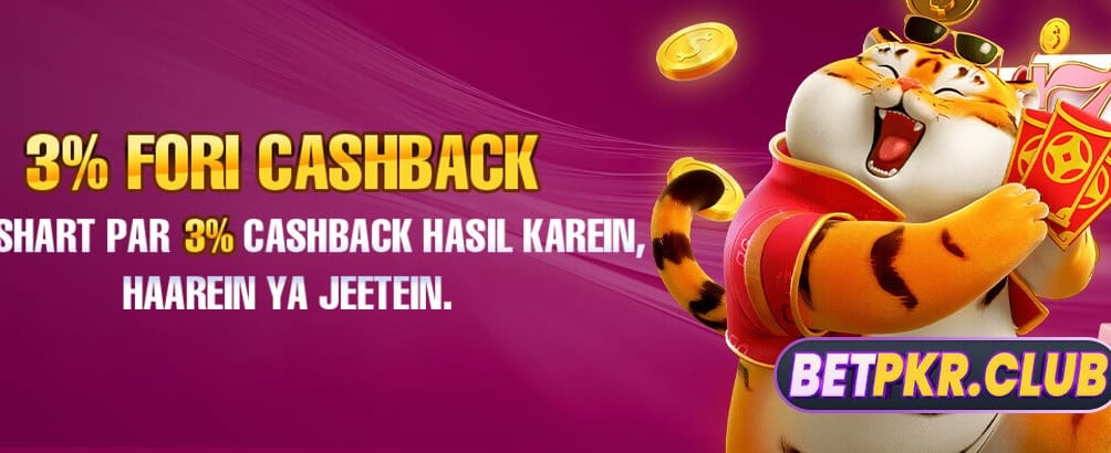 bv999login.com پر خوش آمدید