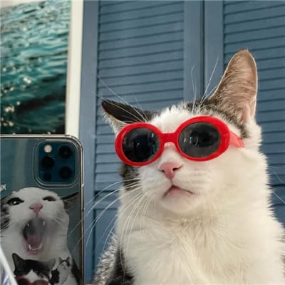 سارة خان avatar